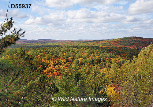 Algonquin Provincial Park, Ontario